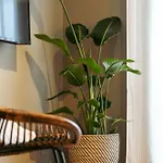 Da'home - Marques Lovely 2bd Porto
