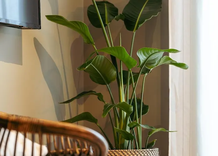 Da'home - Marques Lovely 2bd Porto